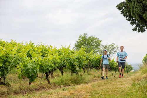 Grand-Public-ENW-2025-–-15-juin-–-Nils-Louna-070