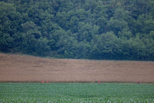 Grand-Public-ENW-2025-–-15-juin-–-Nils-Louna-082