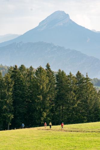 Presse - 20-09-2020 - Romain TISSOT -6 (1)